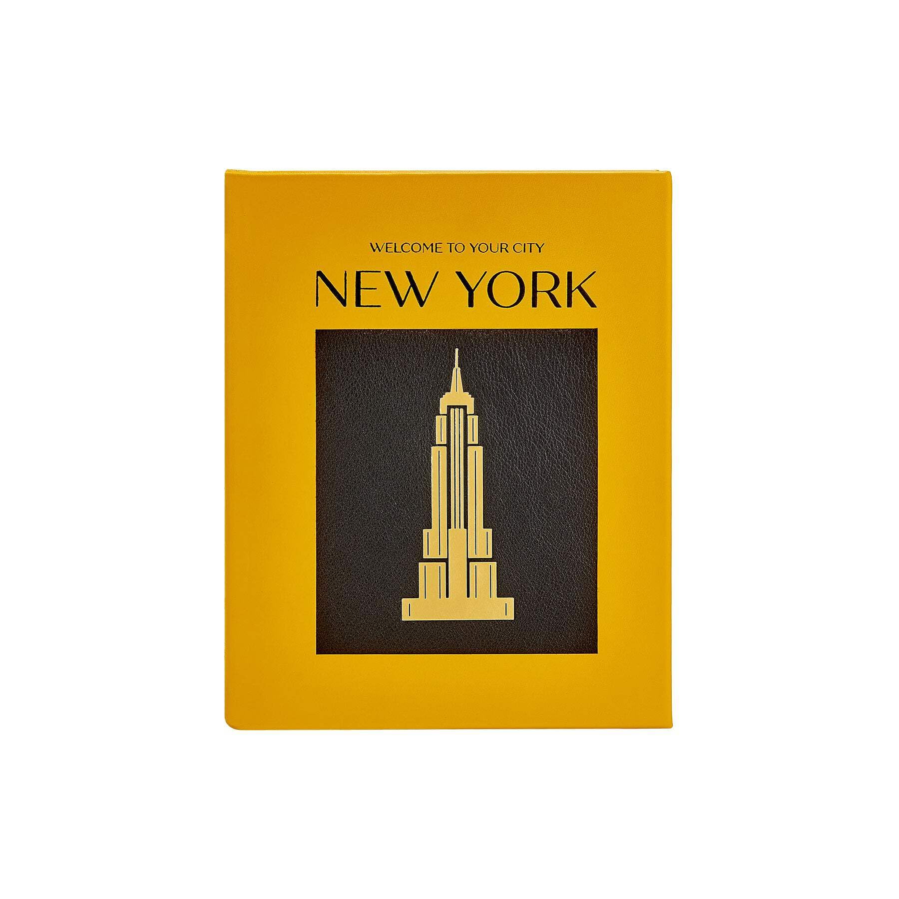 Epica Book 29 （海外広告グラフィック集） Graphic Image Trope New York, Iconic Photographs, Bound in Yellow